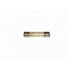 Üvegbiztosíték 8A 6,3x32mm lassú-1